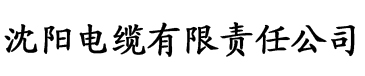 深夜释放你自己草莓视频电缆厂logo